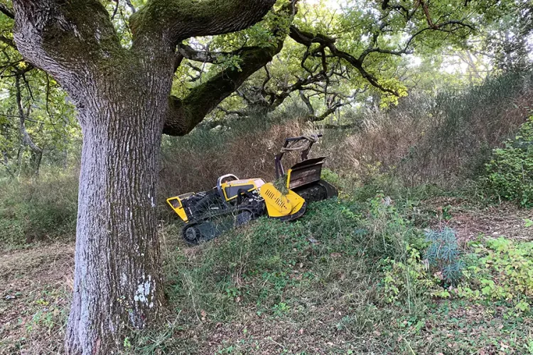 Débroussaillage terrain difficile Vaucluse