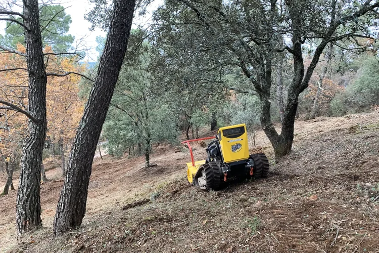 Débroussaillage de terrain en Vaucluse